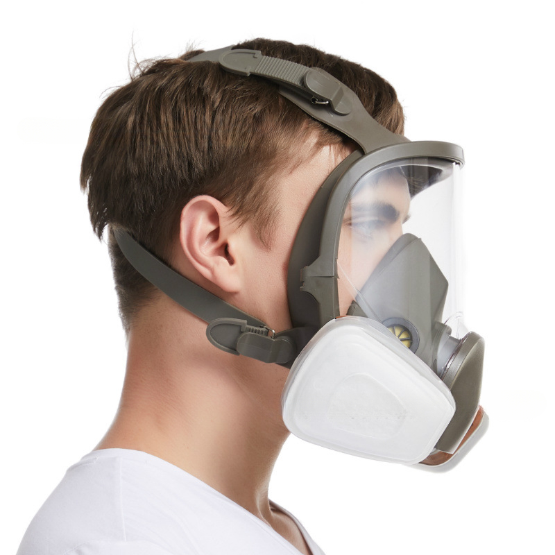 Chống sương mù 6800 mặt nạ khí - đánh giá và giá Anti Pollution Mask